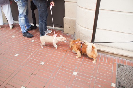 Le Touquet-Paris-Plage